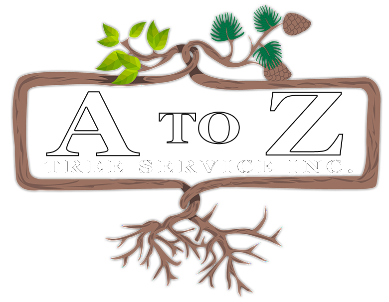 A to Z Logo